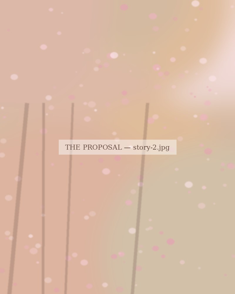 The proposal
